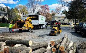 Liberty, TX  Tree Services Company